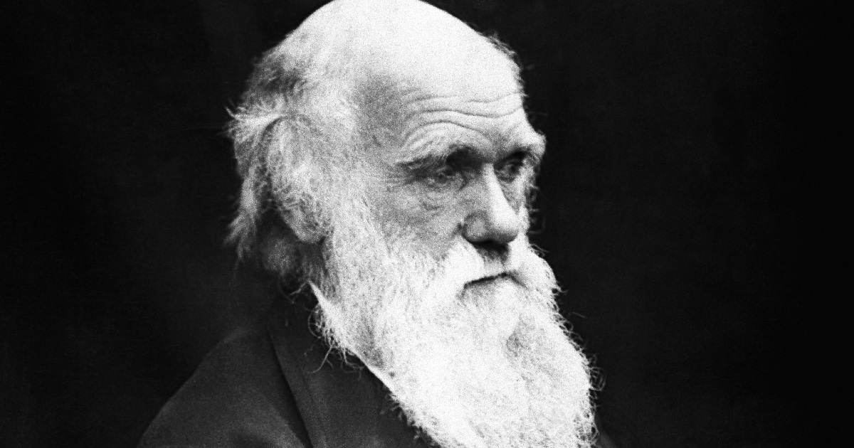 when-did-society-decide-darwinism-is-just-a-useful-myth-solomon-says